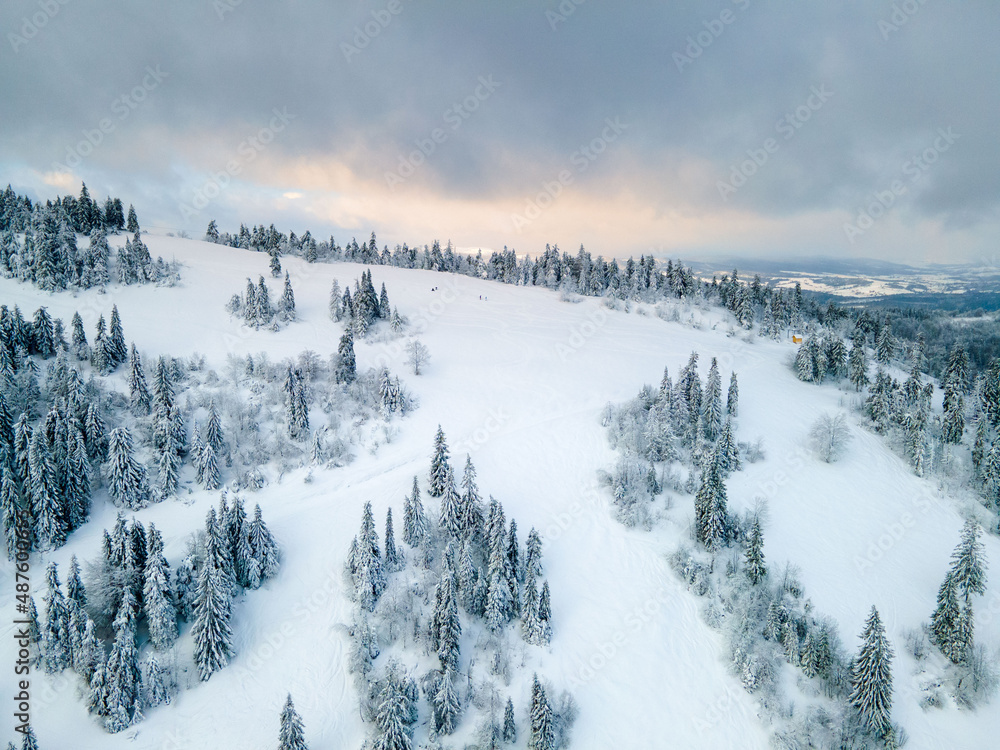 aerial view of winter carpathian mountains