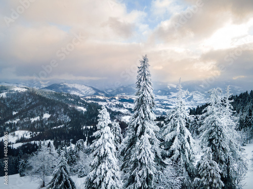 aerial view of winter carpathian mountains photo