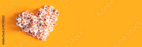 White heart made of chamomile flower on vivid orange spring background 3D Rendering, 3D Illustration