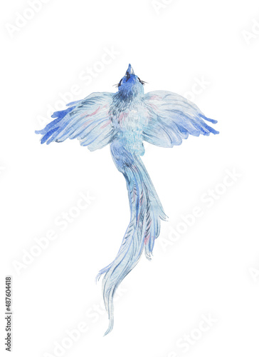 Blue birld flying watercolor painted illustration isolated on white