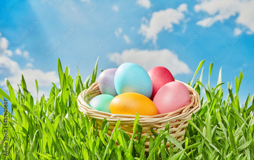 Basket with colorful eggs in grass