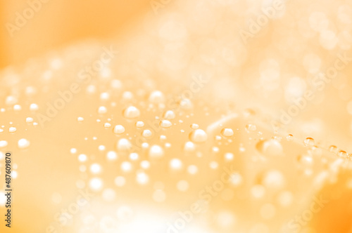Orange and yellow abstract background with blurred water droplets and bokeh on the background