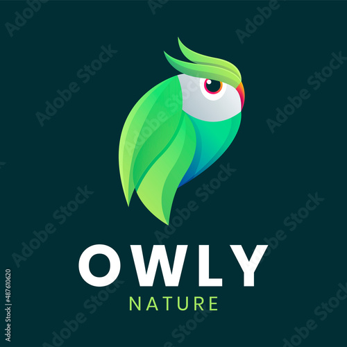 Unique owl colorful logo design photo