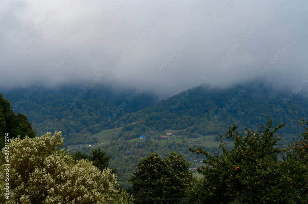 mountain meadow in the morning light, mountain valley in the fog on a grassy hill, the concept of freshness of nature.