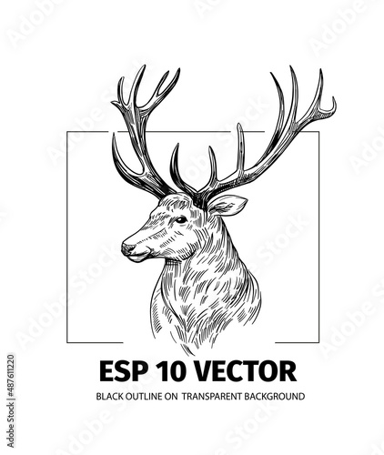 Deer sketch. Hand drawn illustration converted to vector. Black on transparent background