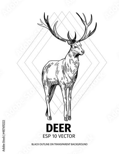 Deer sketch. Hand drawn illustration converted to vector. Black on transparent background