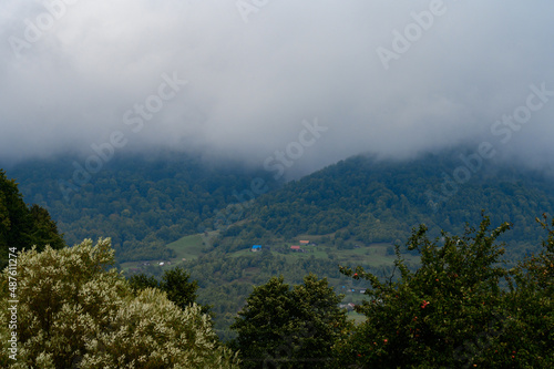 mountain meadow in the morning light, mountain valley in the fog on a grassy hill, the concept of freshness of nature.