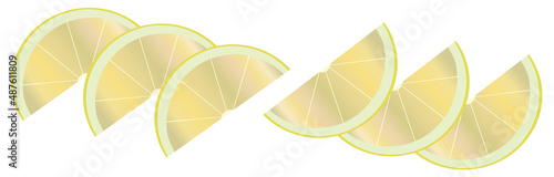 Lemon slices vector illustration for decor
