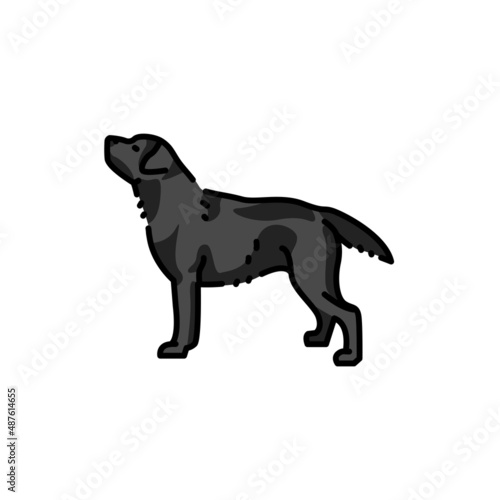 Labrador retriever color line icon. Dog breed. © Backwoodsdesign