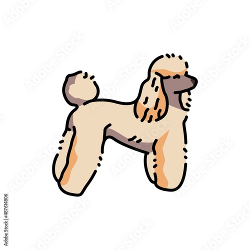 Poodle color line icon. Dog breed.