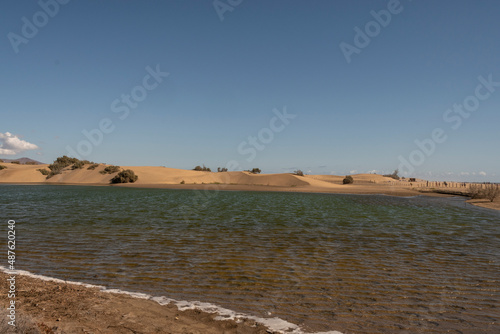 Dunas de arena con charco de agua. Maspalomas, Gran Canaria, España photo