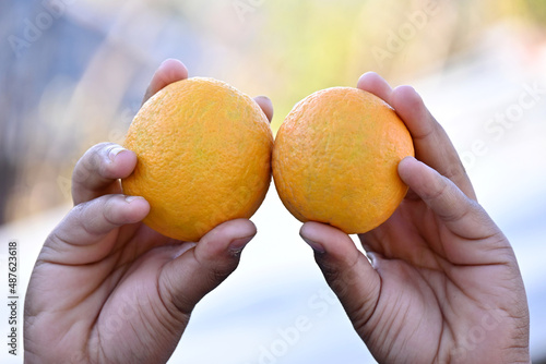 closeup the pair of ripe orange grapefruit hold hand over out of focus yellow brown background.