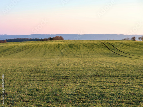 Agriculture field in early spring