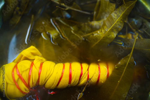 Dye the fabric with natural...
