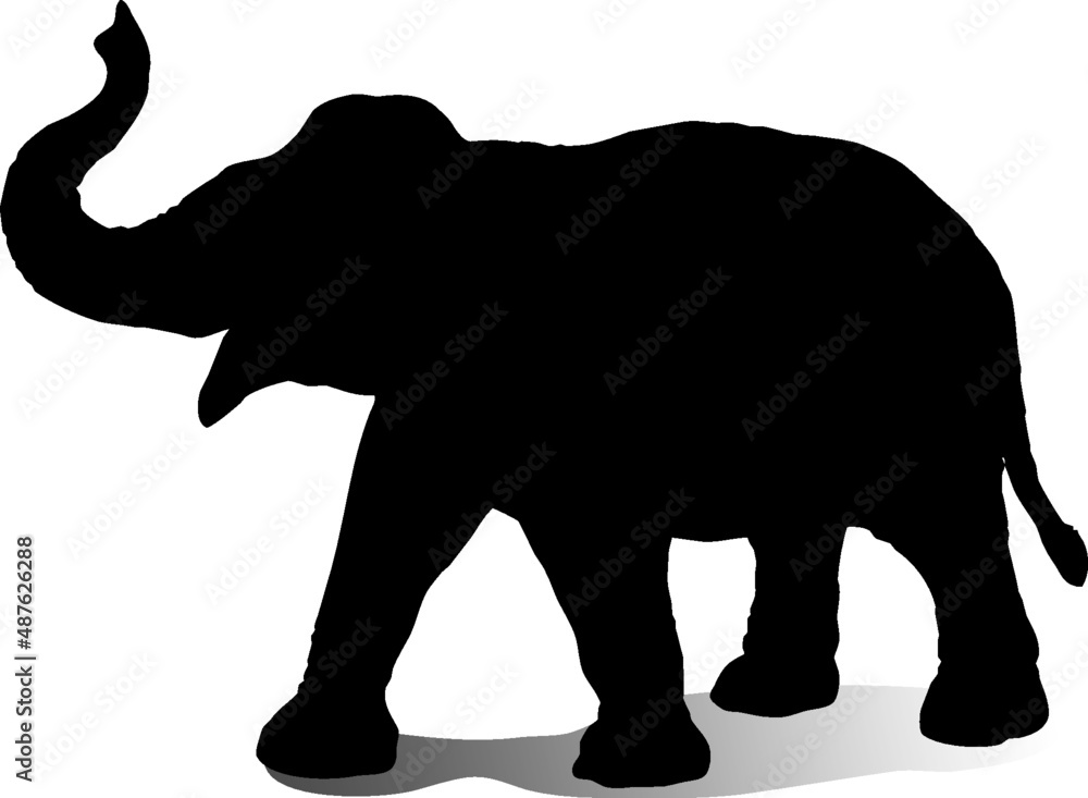 Obraz premium Black and white vector silhouette of an adult elephant with its trunk up. Isolated on white background. 