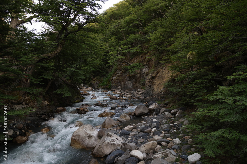 Creek on the way to the Mirador Torres del Paine, Chile Creek on the way to the Mirador Torres del Paine, Chile