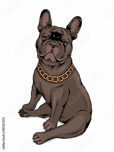 Black french bulldog with golden chain. Stylish image to print on any surface