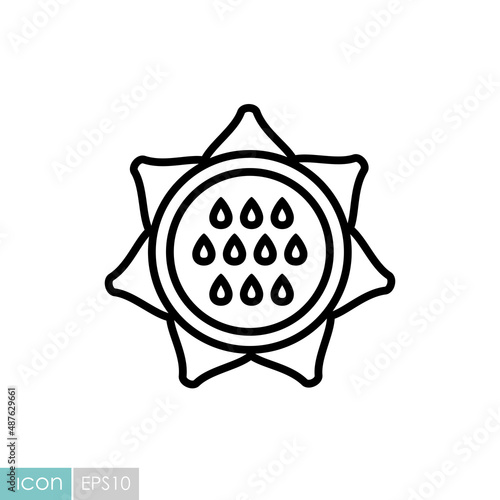 Sunflower outline icon. Vegetable vector