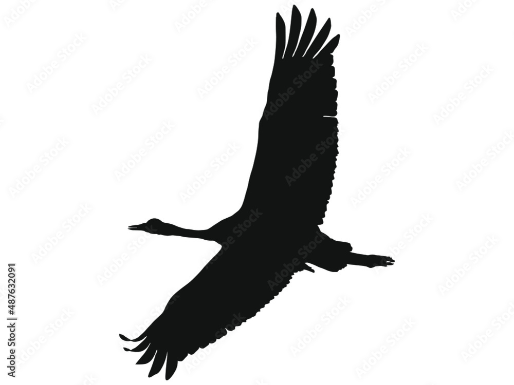 Grafika wektorowa przedstawiająca czarną sylwetkę lecącego żurawia. - obrazy, fototapety, plakaty 