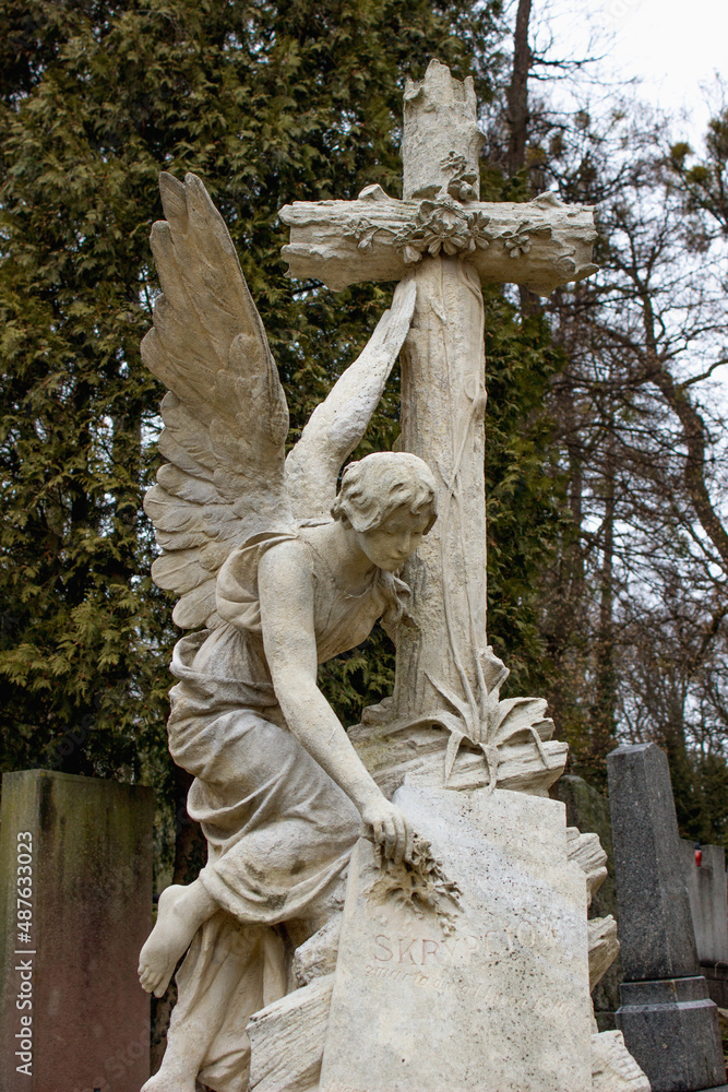 Beautiful angel herald of death. The theme of suffering Beautiful angel herald of death. The theme of suffering