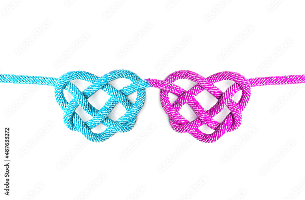 Blue and pink heart shaped knots isolated on white