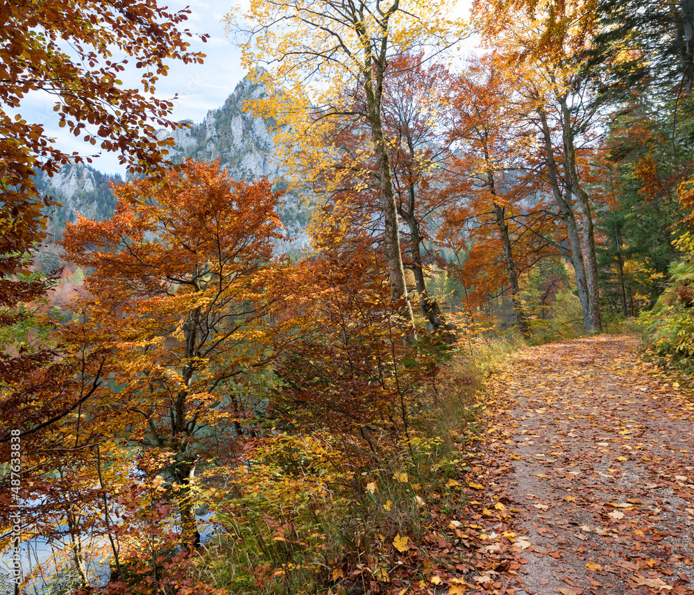 autumnal walkway along lake Laudachsee, katzenstein mountain, austrian alps autumnal walkway along lake Laudachsee, katzenstein mountain, austrian alps