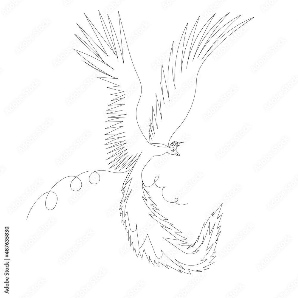 Obraz premium Phoenix bird one line drawing, outline, isolated, vector