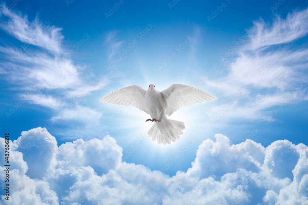 Holy Spirit came down in bodily shape, like dove. Bright light shines