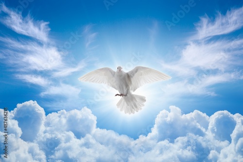 Fotografiet Holy Spirit came down in bodily shape, like dove