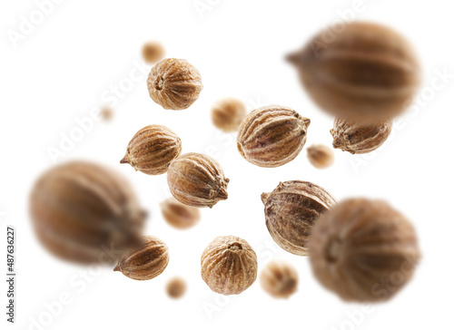 Coriander seeds levitate on a white background