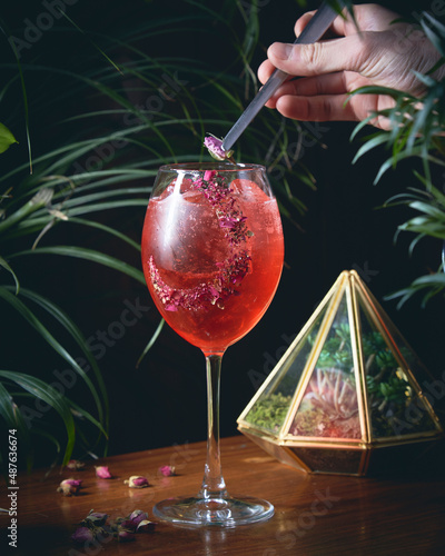 italian spritz with flowers on plamts background in a mixology bar photo