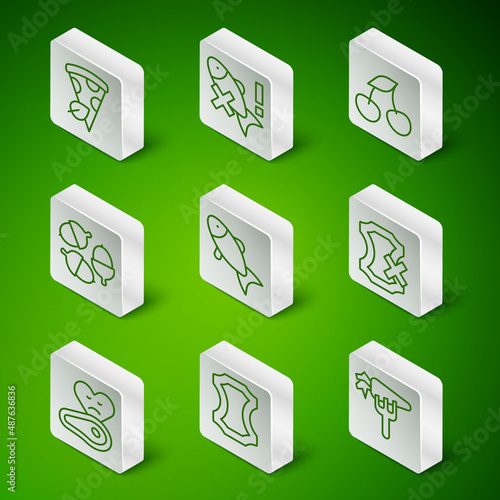 Set line Carrot, Leather, Vegan pizza slice, Fish, Acorn, No fish, Steak meat and leather icon. Vector