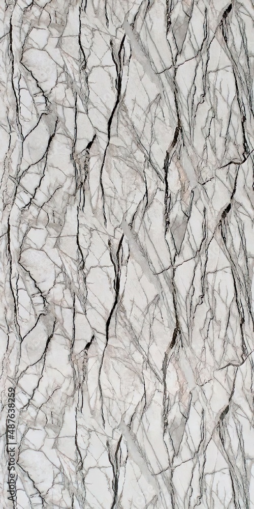 bark texture