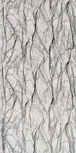 Obraz na płótnie bark texture w salonie