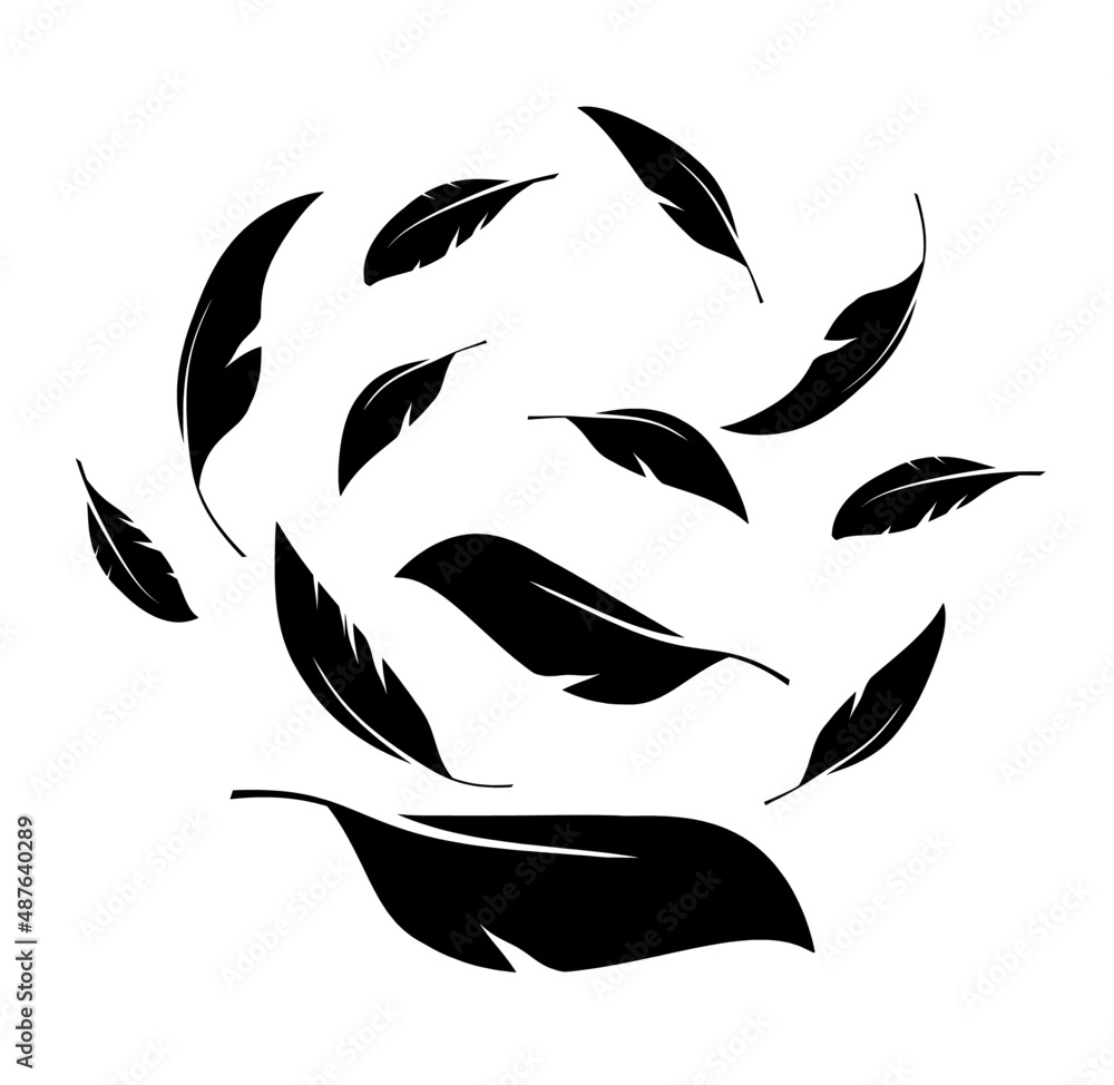 Flock of black feathers falling isolated on white background. Vector Flock of black feathers falling isolated on white background. Vector