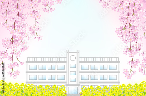 学校　桜　入学　卒業