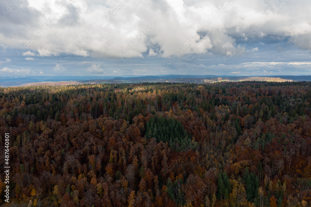 Amazing colorful forest in Switzerland. There are so many different colours in the trees. wonderful flight with a drone and an amazing view over the beautiful landscape.