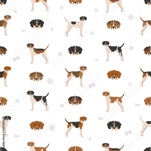 Treeing Walker coonhound seamless pattern. Different poses, coat colors set