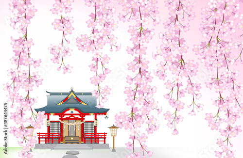 神社　桜　シダレザクラ