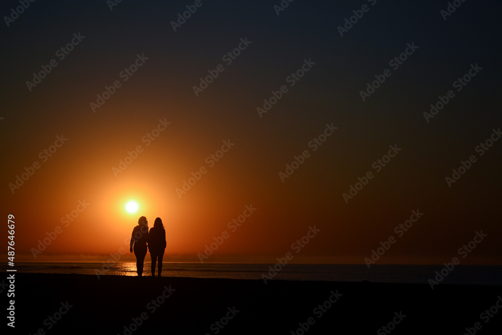 silhouettes of a female lgbt couple walking along the beach against the backdrop of the ocean during the sunset in the summer