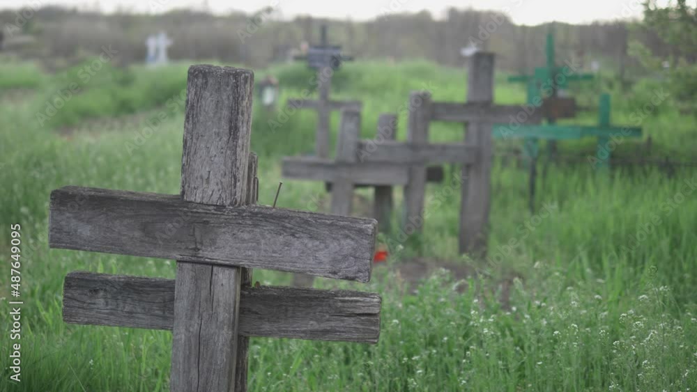 Wooden crosses in graveyard, green grass, steady nature, life and death Wooden crosses in graveyard, green grass, steady nature, life and death