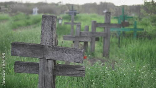 Wooden crosses in graveyard, green grass, steady nature, life and death photo