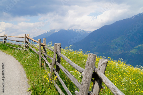 beautiful mountainous scenery in the Italian Alps in Aschbach  Vinschgau  Italy  South Tyrol 