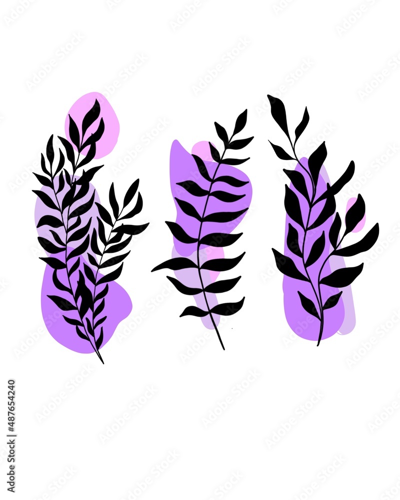 Obraz premium big beautiful set of vegetation and plants. botany template for wedding invitation. Botanical element template. silhouette twig decorative design botany