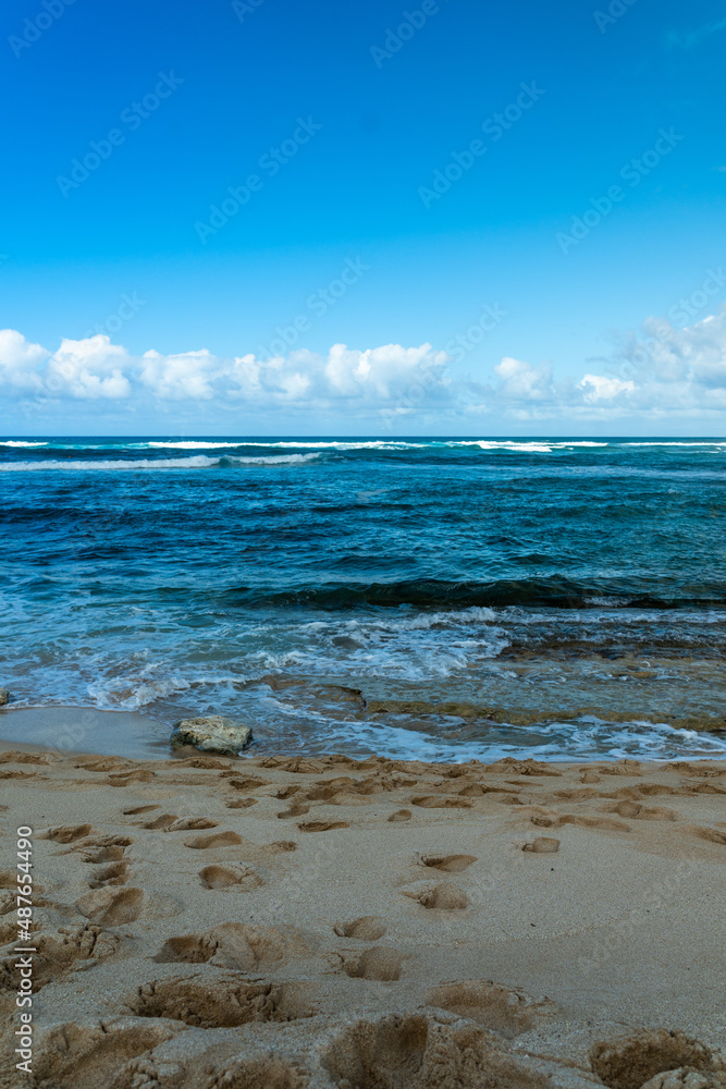 beach and sea