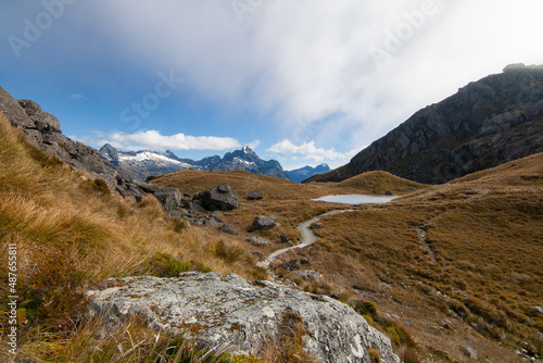 Steep mountain path to Harris Saddle at Routeburn Track Great Walk  Southern Alps