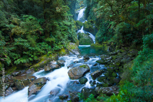 Mackay Falls  wild rainforest cascade waterfall  Milford Track Great walk  Fiordland  New Zealand