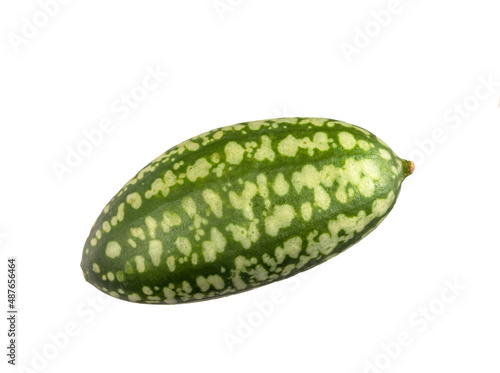 Cucamelon  Melothria Scabra mexikani Minimelone Mausmelon.  isolated on a white very cloce macro. one green spotted and striped cucumber photo