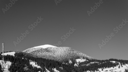 Winter, high mountains with snow white peaks.  Location place Carpathian, Vatra Dornei, Bucovina, Suceava, Romania, Europe. black and white photo