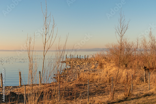 View over the lake of Constance in Altenrhein in Switzerland